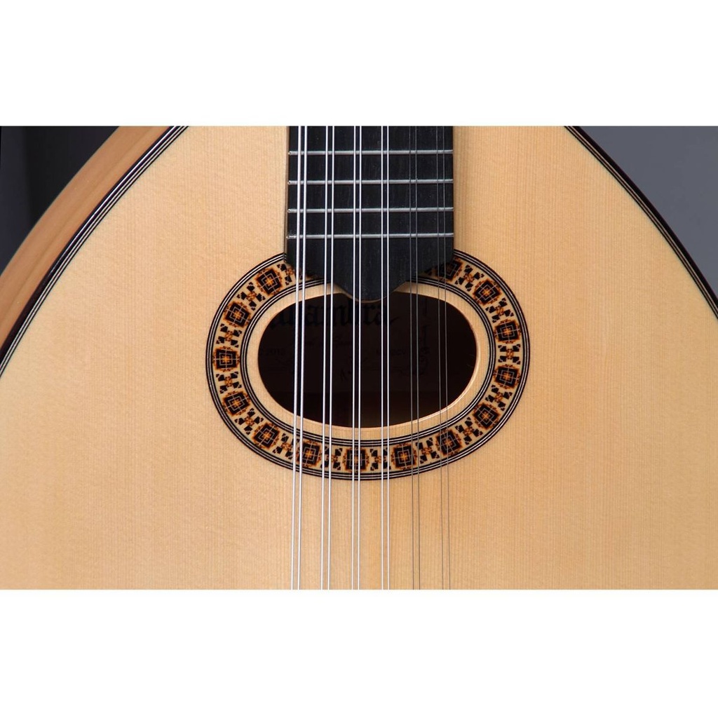 alhambra-l-6-fc-868-3_musicvanderheyden