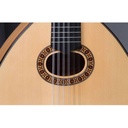 alhambra-l-6-fc-868-3_musicvanderheyden