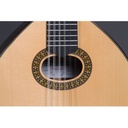 alhambra-l-11-p-a-case-9564-841-3_musicvanderheyden