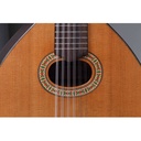 alhambra-l-3-c-838-3_musicvanderheyden