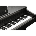 kurzweil-cup-e1-bk-3_musicvanderheyden