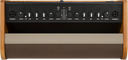Fender Acoustic 100