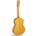 alhambra-jm-vilaplana-flamenca-case-9650-832-v-2_musicvanderheyden