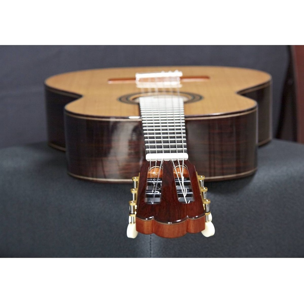 alhambra-jm-moreno-case-9558-250-v-3_musicvanderheyden