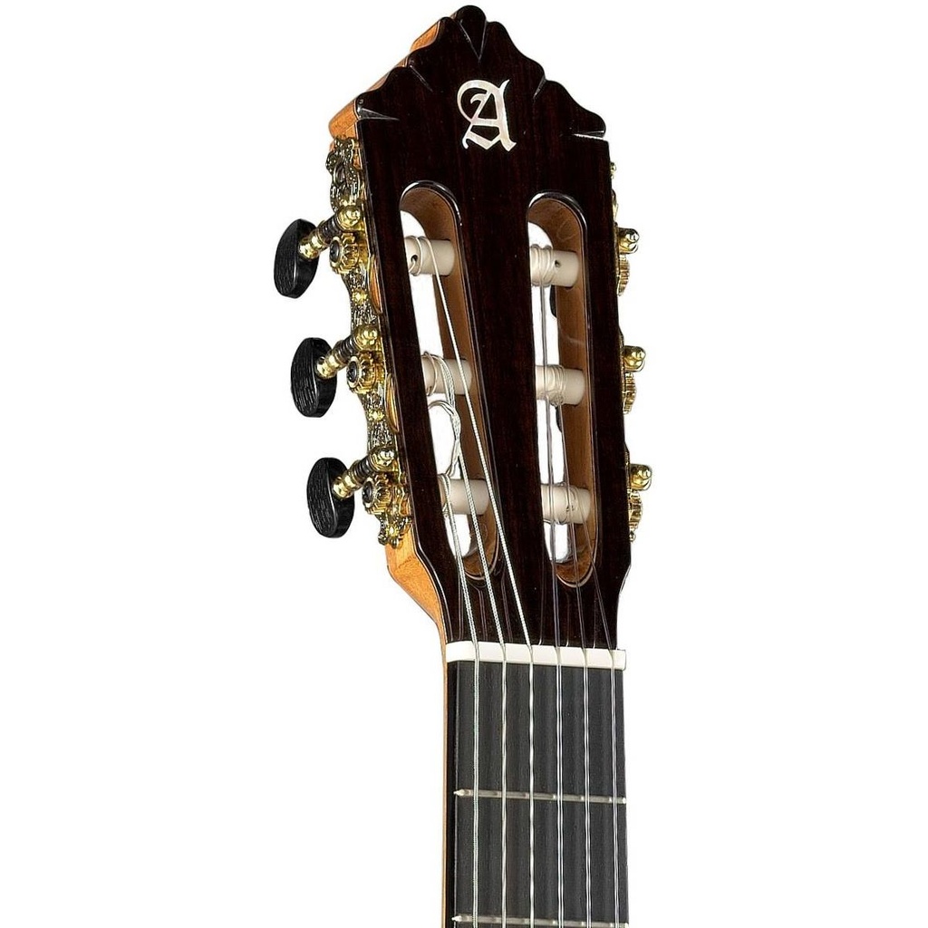 alhambra-10fc-case-9557-8224-2_musicvanderheyden