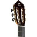 alhambra-10fc-case-9557-8224-2_musicvanderheyden