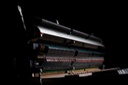 Kawai NV5s (Novus)