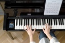 Kawai NV5s (Novus)
