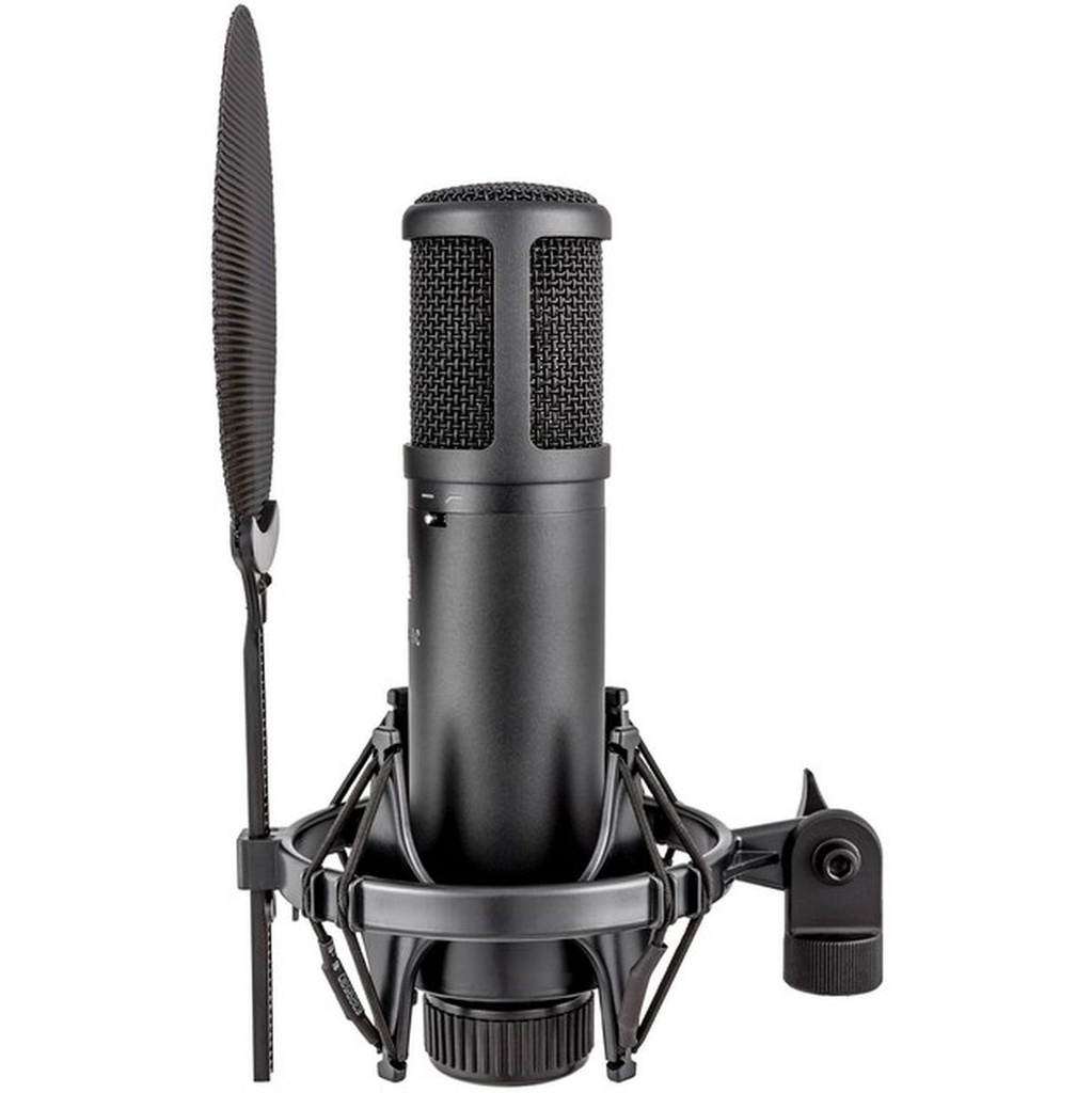 se-electronics-se2200-2_musicvanderheyden