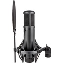 se-electronics-se2200-2_musicvanderheyden