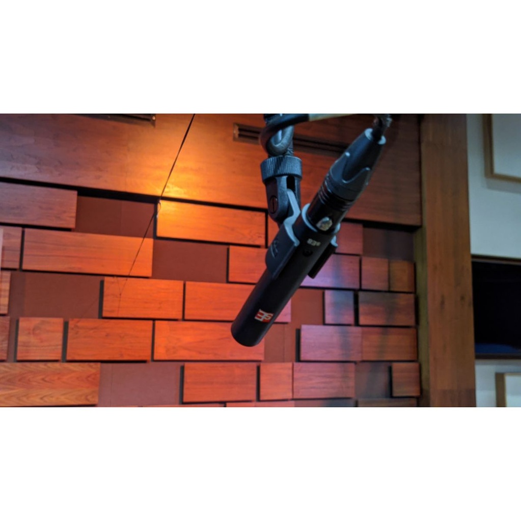 se-electronics-se8-omni-pair-4_musicvanderheyden