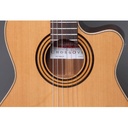 alhambra-cs-1-cw-e1-gig-bag-25mm-9738-8736-v-3_musicvanderheyden