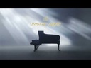 Shigeru Kawai SK EX Concertvleugel
