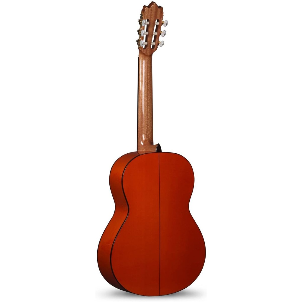 alhambra-4f-pickguard-8209-2_musicvanderheyden