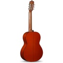 alhambra-4f-pickguard-8209-2_musicvanderheyden