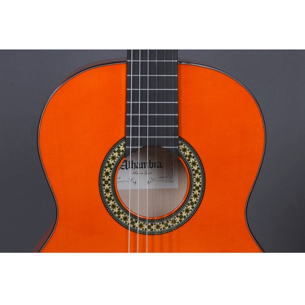 alhambra-4f-pickguard-8209-3_musicvanderheyden