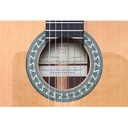 alhambra-5fp-op-pinana-8213-3_musicvanderheyden