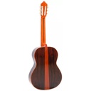 alhambra-premier-pro-madagascar-case-9650-7631-2_musicvanderheyden