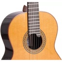 alhambra-premier-pro-madagascar-case-9650-7631-3_musicvanderheyden