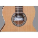 alhambra-z-nature-7800-3_musicvanderheyden