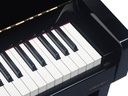 Medeli UP805/GBK Forte Series digital upright piano