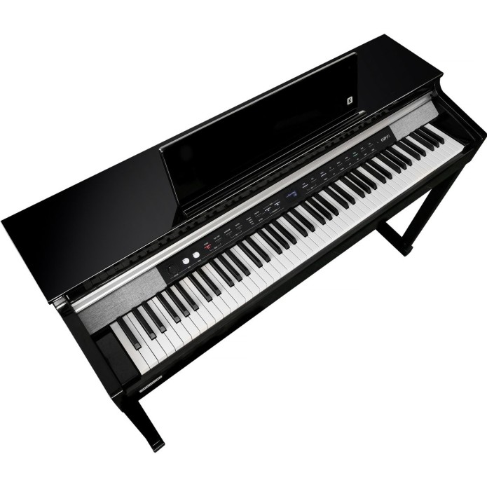 Kurzweil Cup P1-BP2
