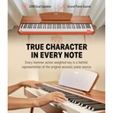 donner-digital-piano-walnut-5_musicvanderheyden