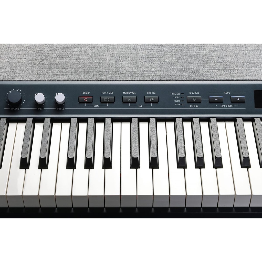 kurzweil-kap1-kb-2_musicvanderheyden
