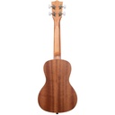 kala-mxmtoon-concert-ukulele-3_musicvanderheyden