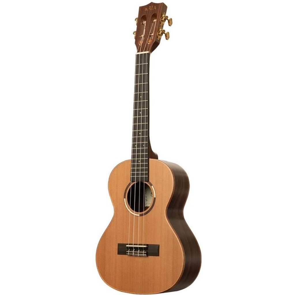kala-all-solid-cedar-top-pau-ferro-tenor-w-case-4_musicvanderheyden
