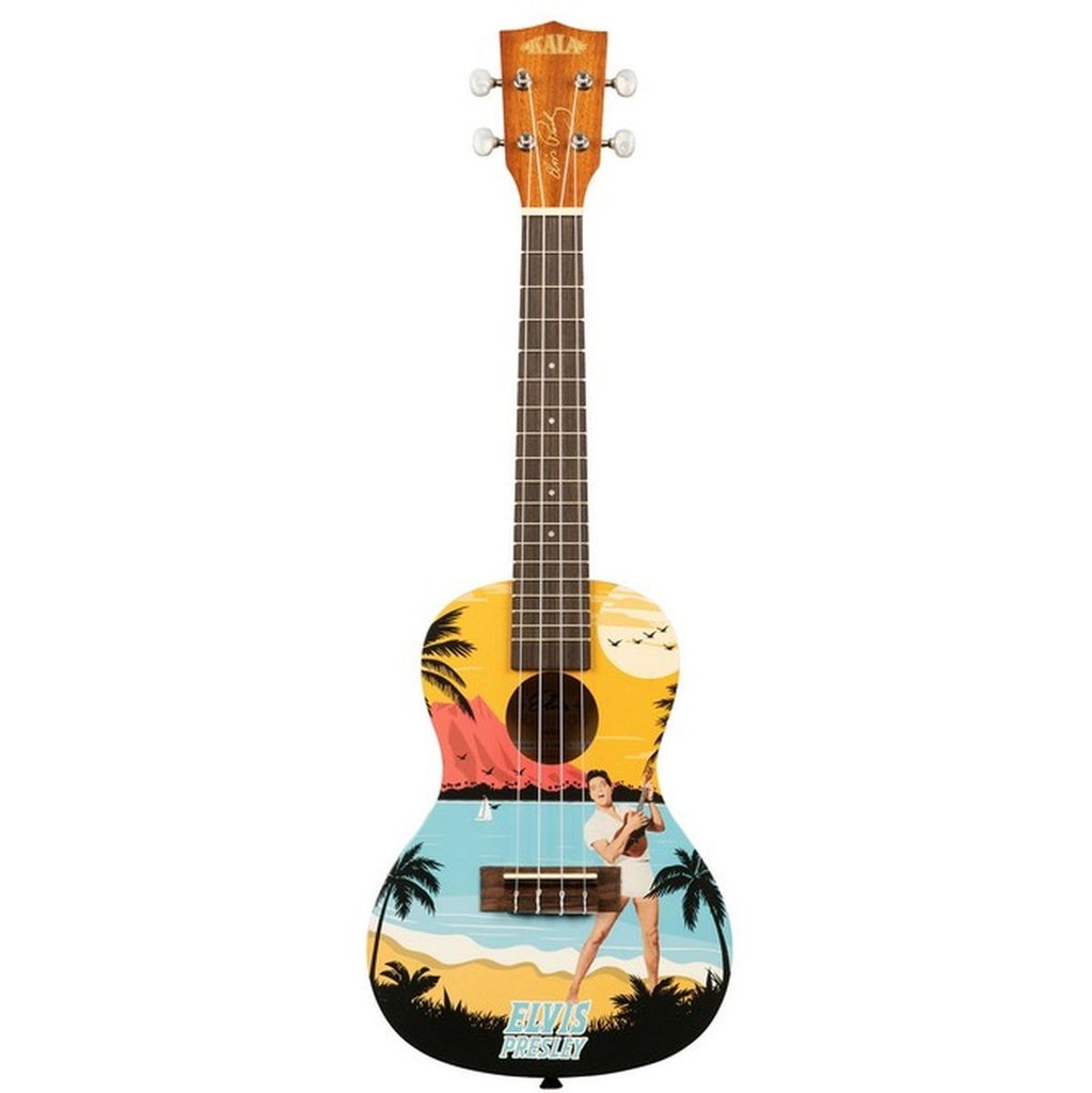 kala-learn-to-play-elvis-blue-hawaii-concert-2_musicvanderheyden