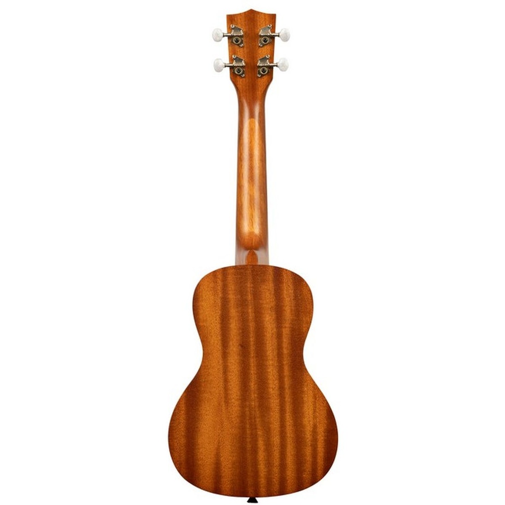 kala-learn-to-play-elvis-blue-hawaii-concert-5_musicvanderheyden