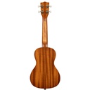 kala-learn-to-play-elvis-blue-hawaii-concert-5_musicvanderheyden