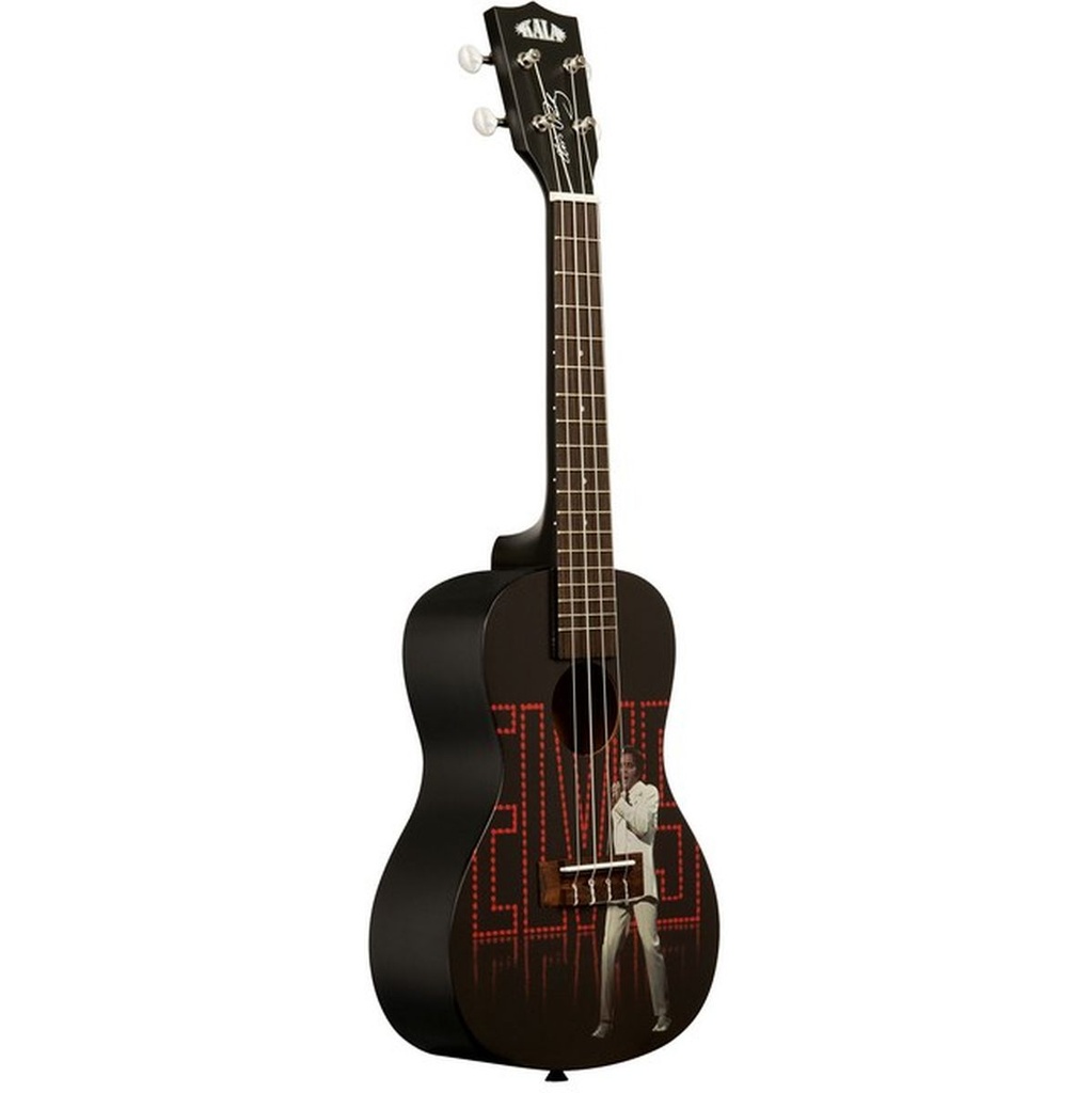 kala-learn-to-play-elvis-viva-las-vegas-concert-4_musicvanderheyden