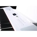 artesia-vivace-prowh-4_musicvanderheyden