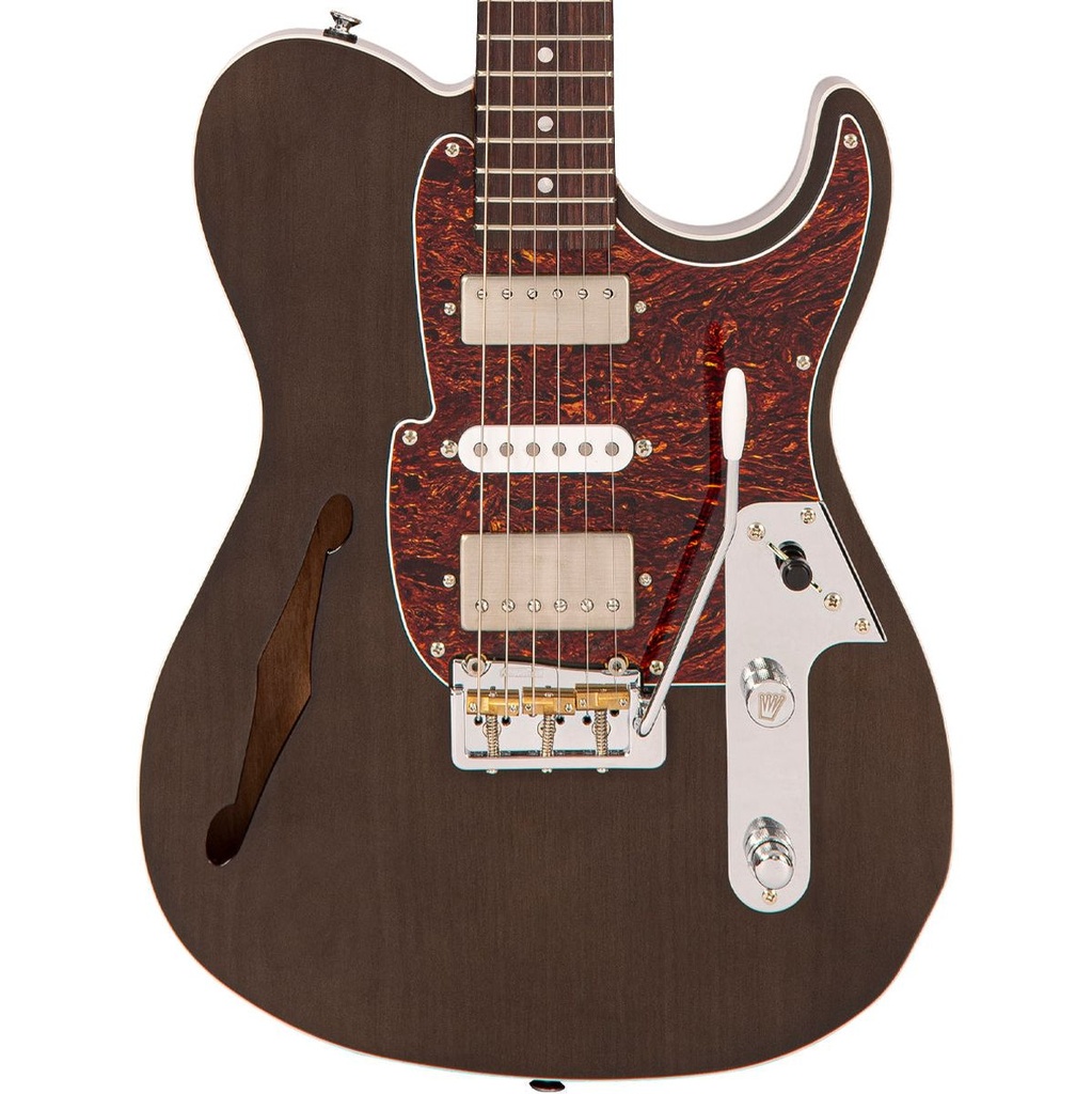 fret-king-country-squire-semitone-deluxe-thru-4_musicvanderheyden