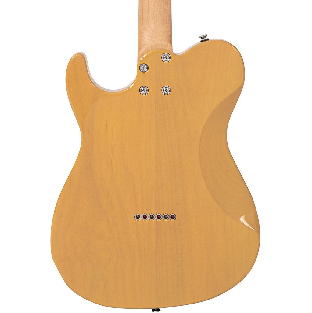 fret-king-country-squire-modern-classic-5_musicvanderheyden