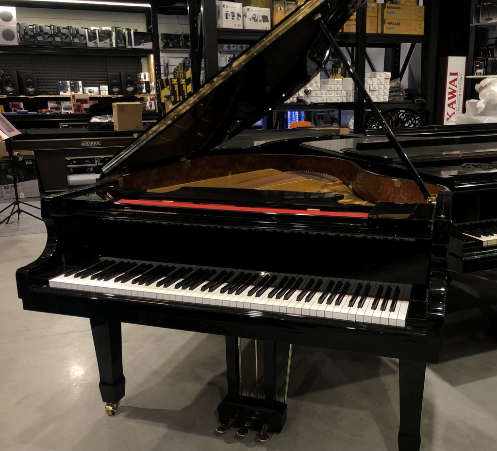 ROLINDA Vleugel Zwart Hoogglans tweedehands