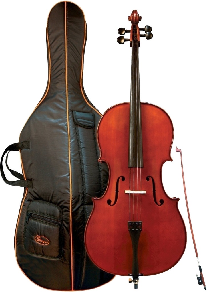 Gewa Allegro 4/4 Outfit Cello+Hoes