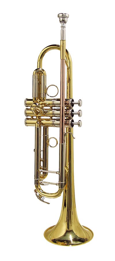 STEWART ELLIS SE2400L Pro, Yellow Brass Lacq, Monel,ca