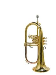 Stewart Ellis SE1100L Pro Serie Fluegelhorn Lak