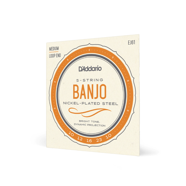 D'Addario EJ61