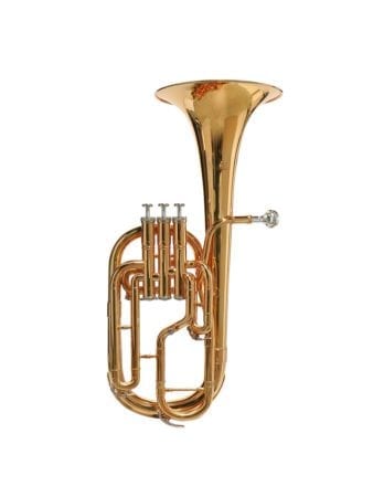 Stewart Ellis SE1330L Alto Hoorn, Gold, Monel, Case