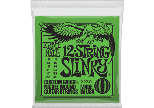 Ernie Ball 2230 12-String Slinky
