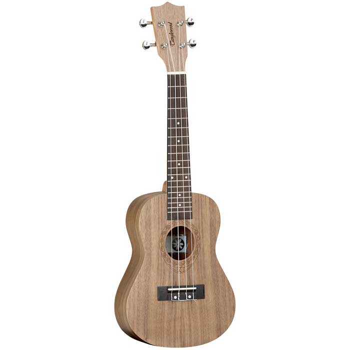Tanglewood TWT3 