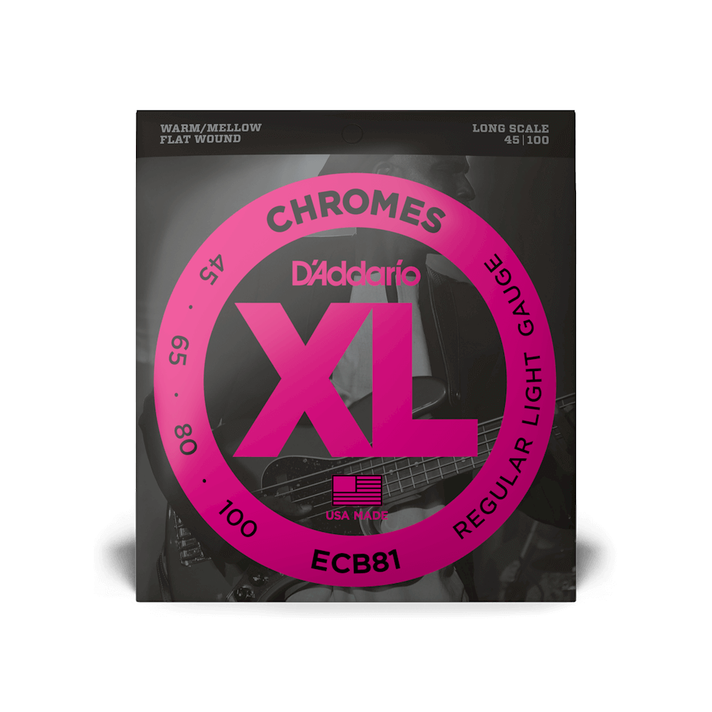D'Addario ECB81 Flat Wound 45-100