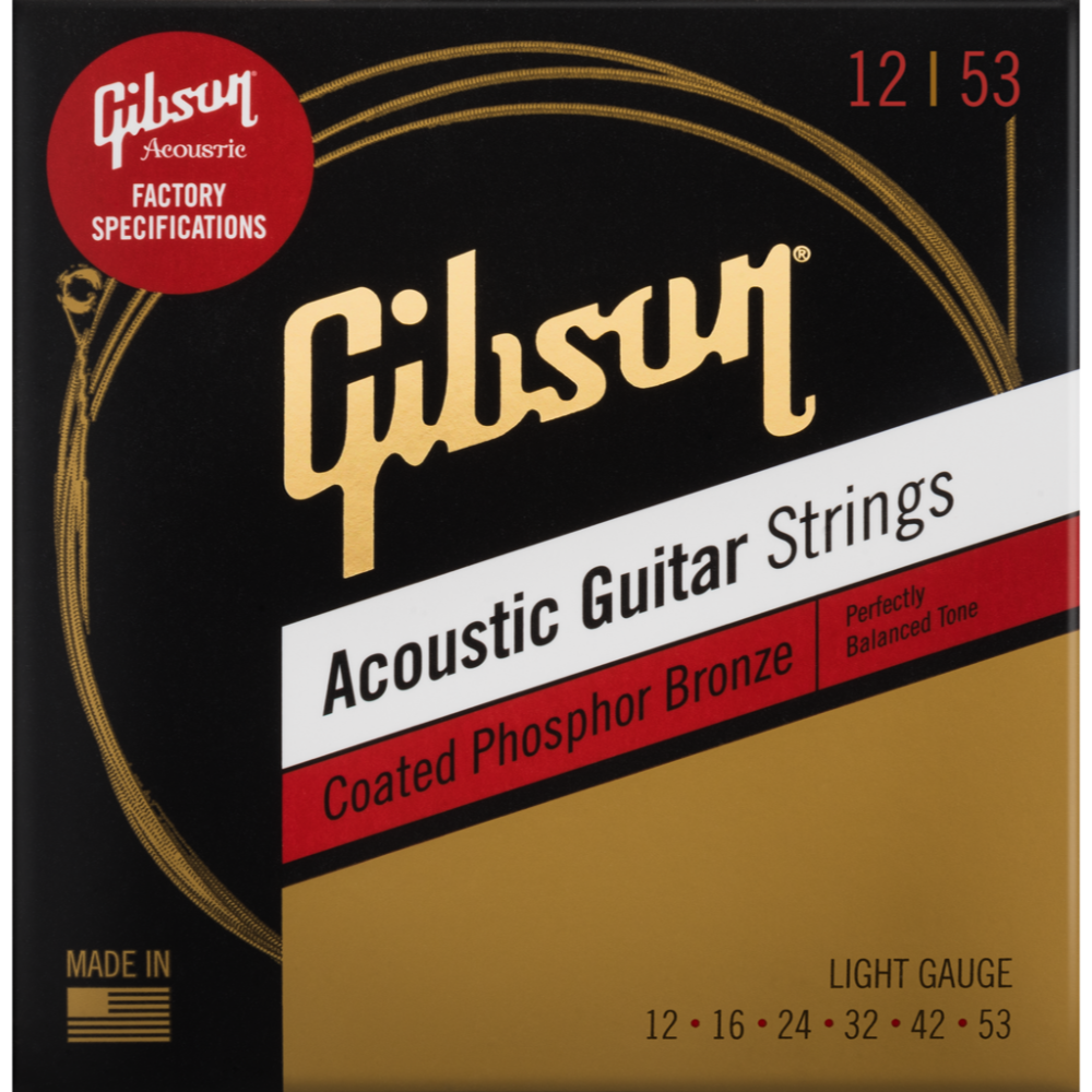 Gibson Coated Phosphor Bronze 12-53 SAG-CPB12
