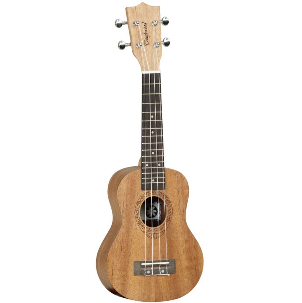 Tanglewood Tiare T1