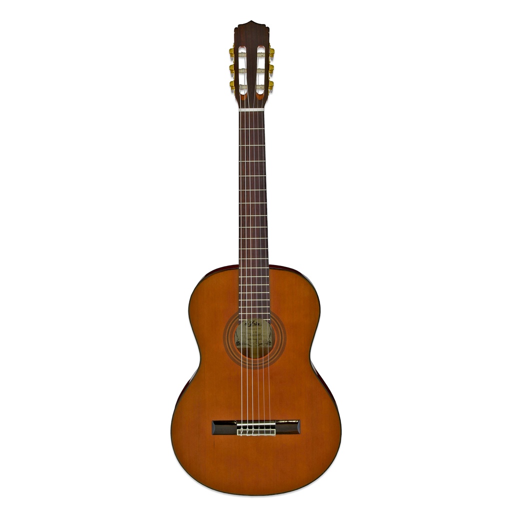 Aria A-20 Naturel