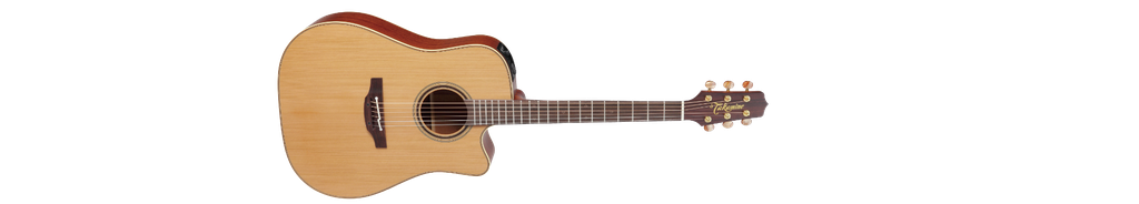 Takamine P3DC Cutaway Dreadnought